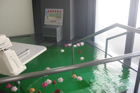 白扇閣 清水区 興津 特別養護 老人ホーム はくせんかく ホームヘルパー 介護 福祉 介護福祉士 要請 スクール 興津川 採用 ショートステイ デイサービス 居宅介護 支援 地域包括センター 清承会 駿府病院 施設 年寄り 老人 入居 資格 求人 募集 きれい 親切 丁寧 安心 働きやすい 地元 清水 静岡 スタッフ